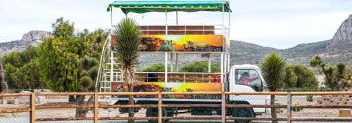 Descubre el Tuzoofari-0