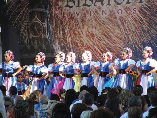 Viñedo Bibayoff-0