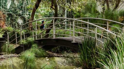 Bioparque Urbano San Antonio-0