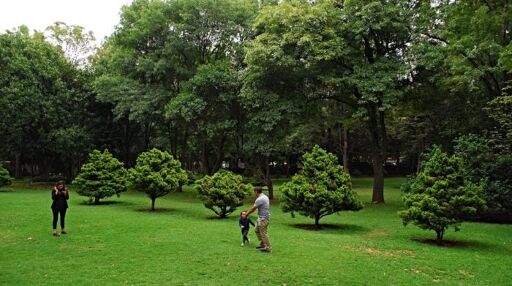 Parque Ecológico Loreto y Peña Pobre-0