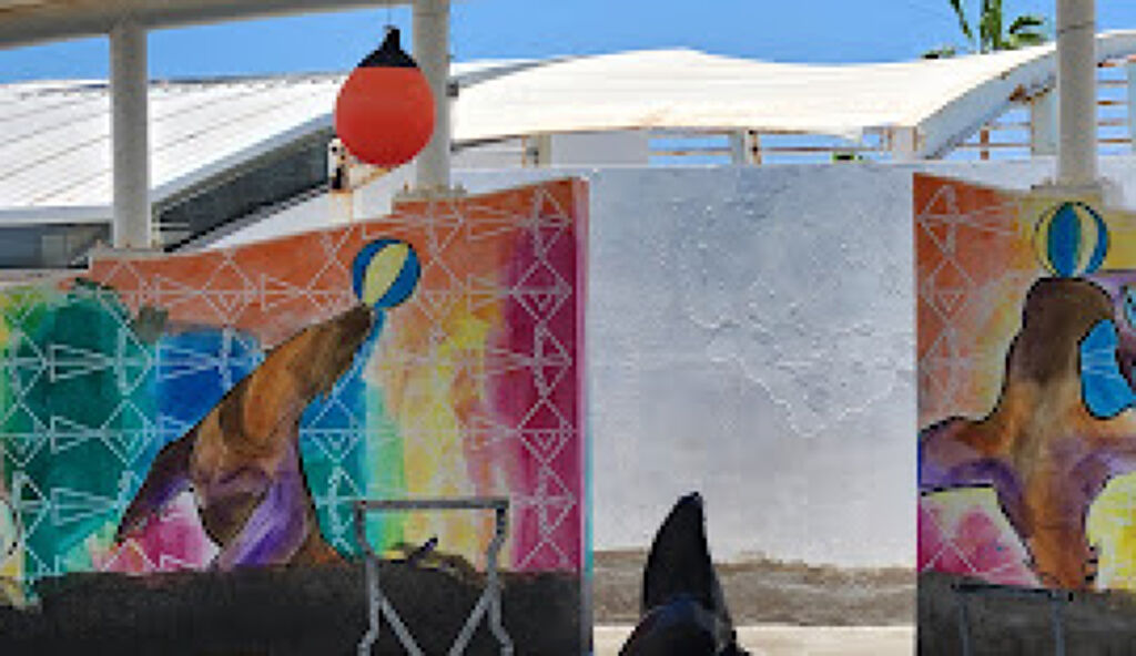 Delfinario Sonora-2