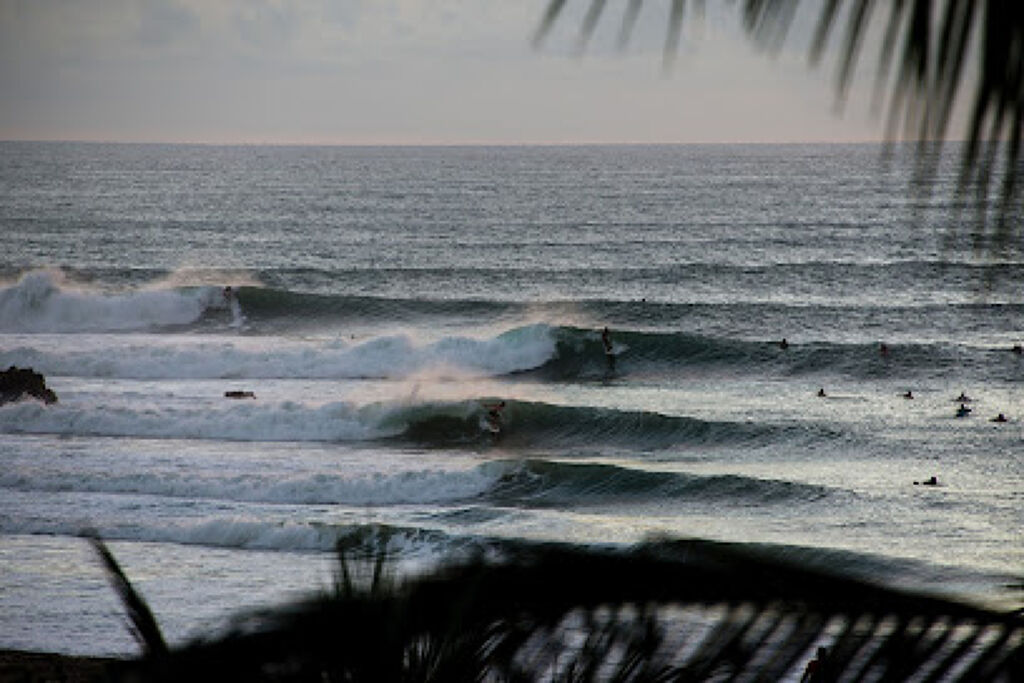 Puerto Surf-0