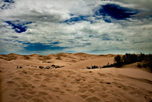 Dunas de Samalayuca-0