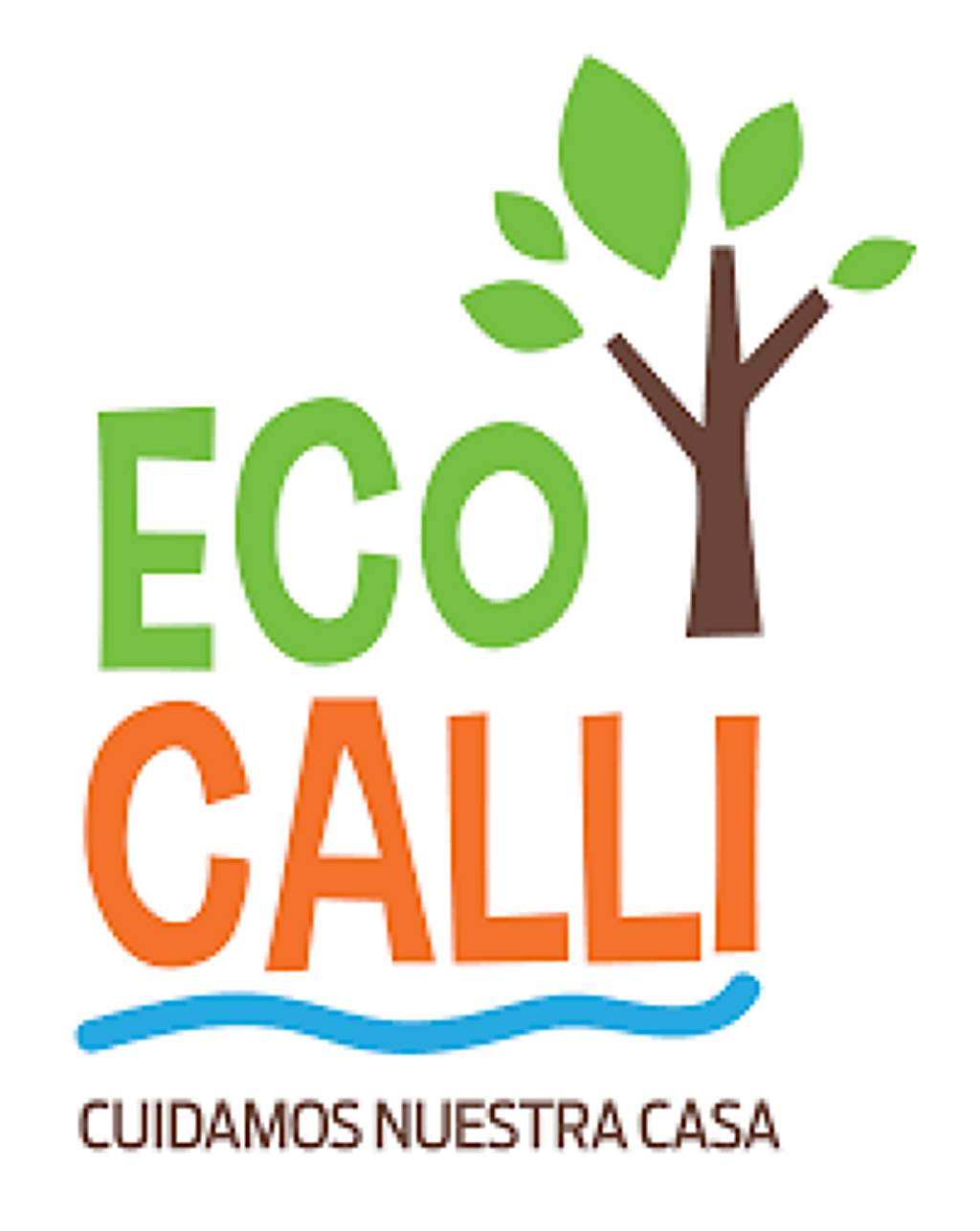 Eco-Calli-2