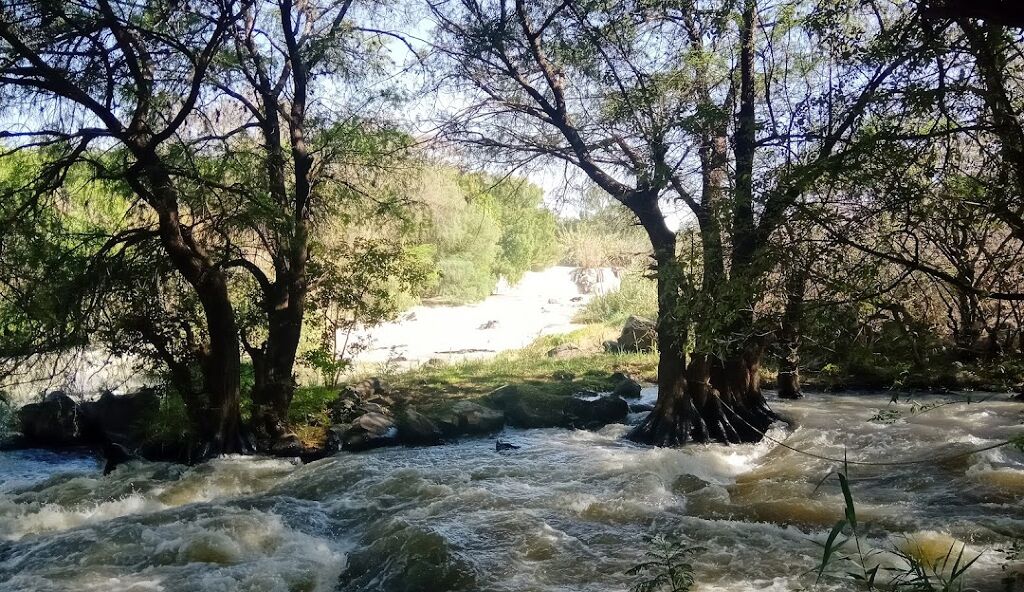 Eco Parque El Sabinal-0