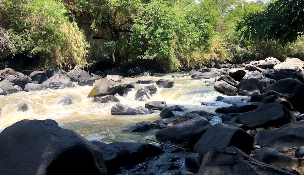 Eco Parque El Sabinal-1