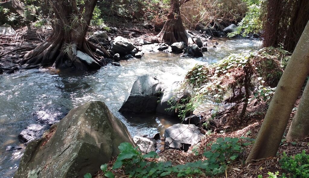 Eco Parque El Sabinal-2