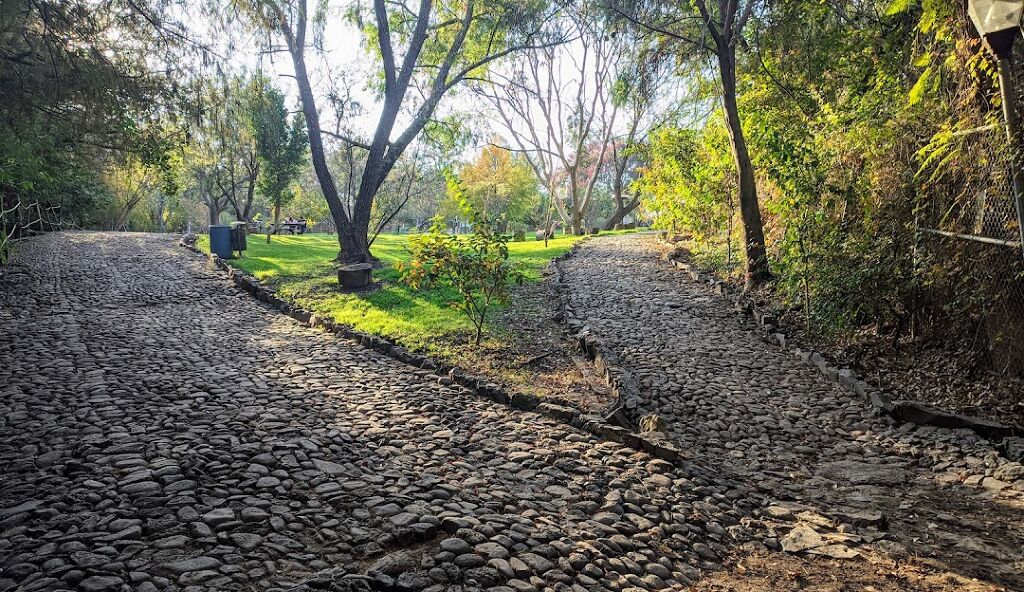 Eco Parque El Sabinal-3