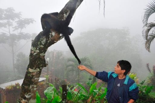 Ecobiósfera-0