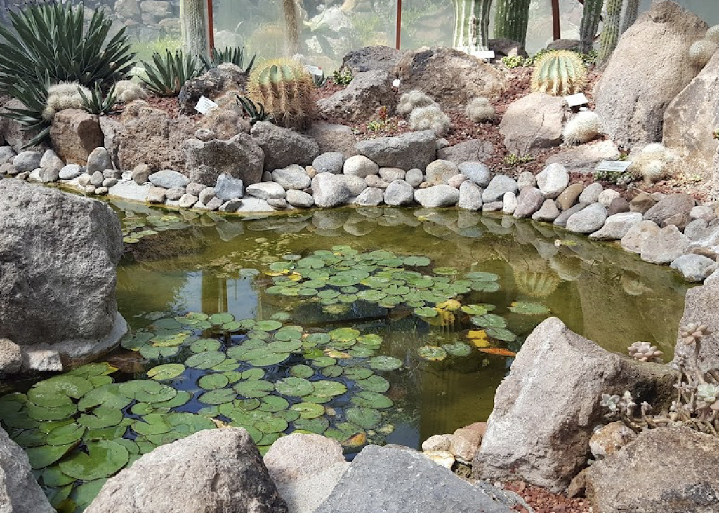 El Charco del Ingenio-0