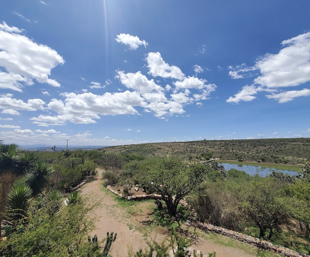 El Charco del Ingenio-3