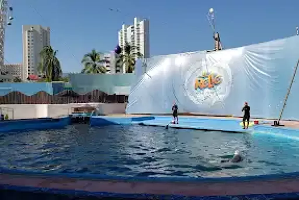 El Rollo Acapulco-1