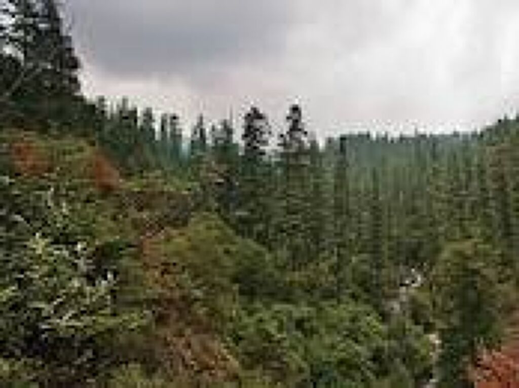 Parque Nacional Los Dinamos-0