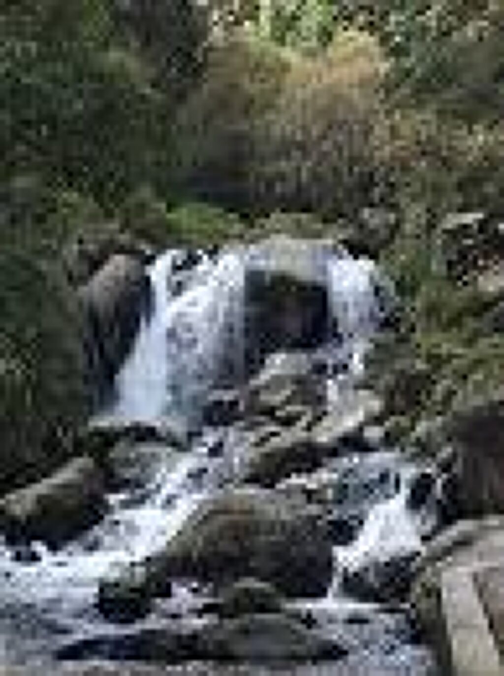 Parque Nacional Los Dinamos-1