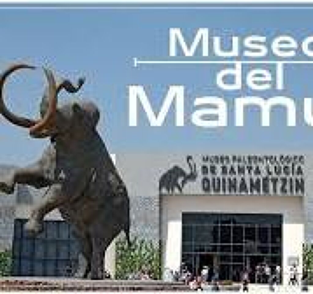 Museo del Mamut AIFA-0