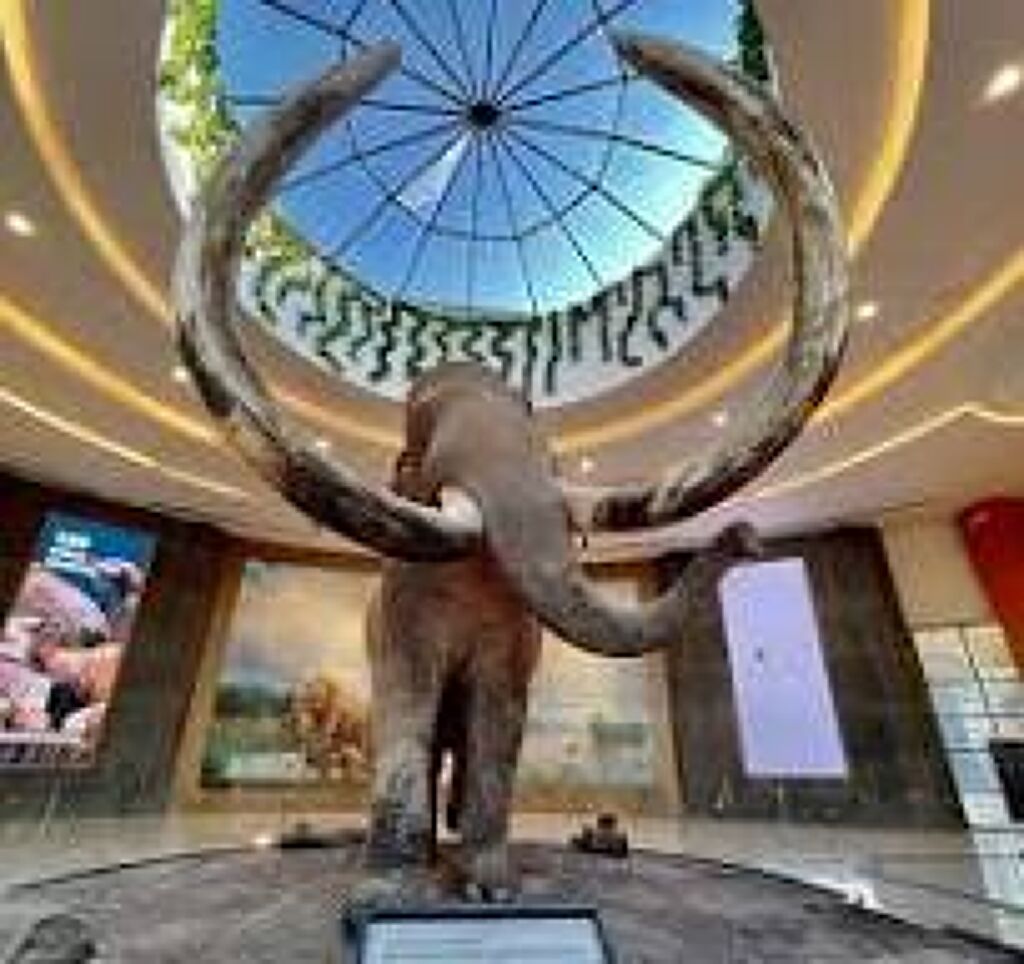 Museo del Mamut AIFA-2