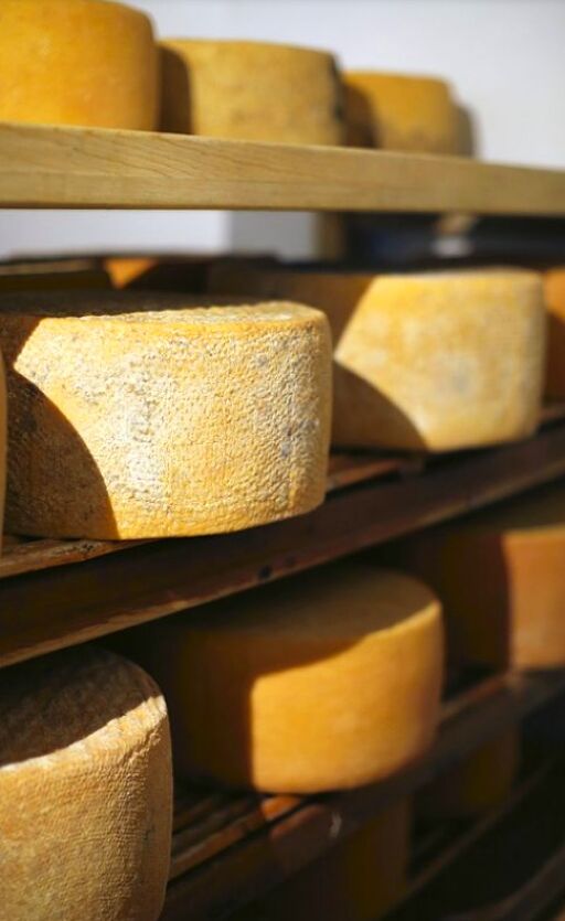 Escápate a Cotija de la Paz y prueba su queso-0