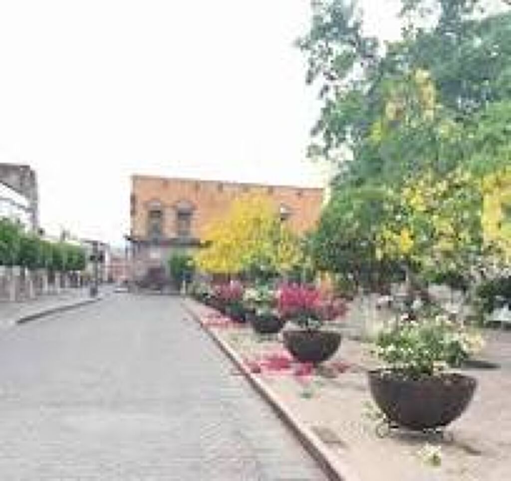 Escucha la tambora en Jardín Morelos-1