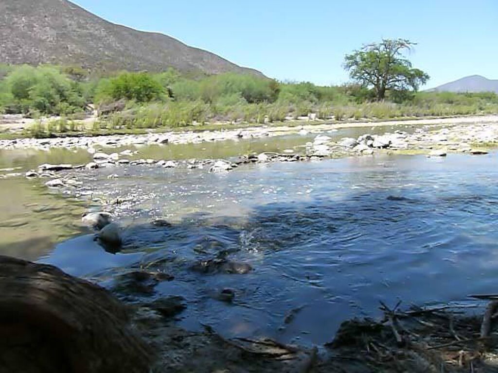 Reserva Ecológica de Sierra de Jimulco-0