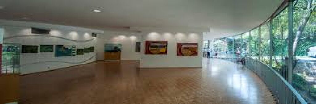 Galería de Historia, Museo del Caracol-2
