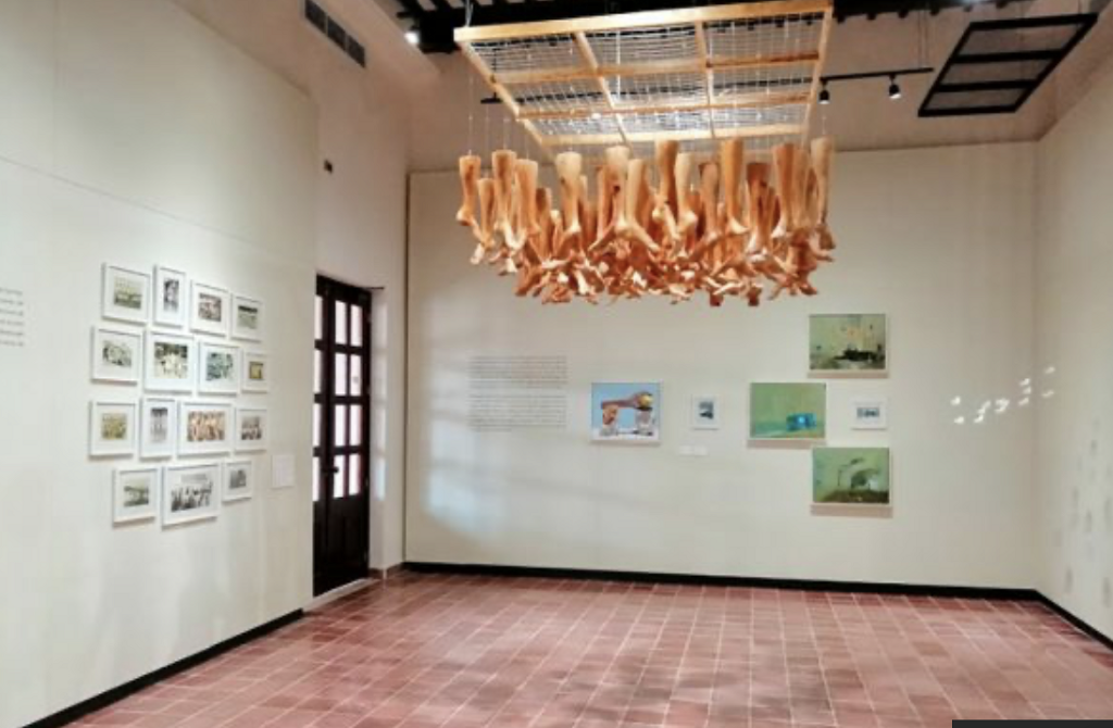 Guanal Museo Universitario de Ciencias y Artes-2