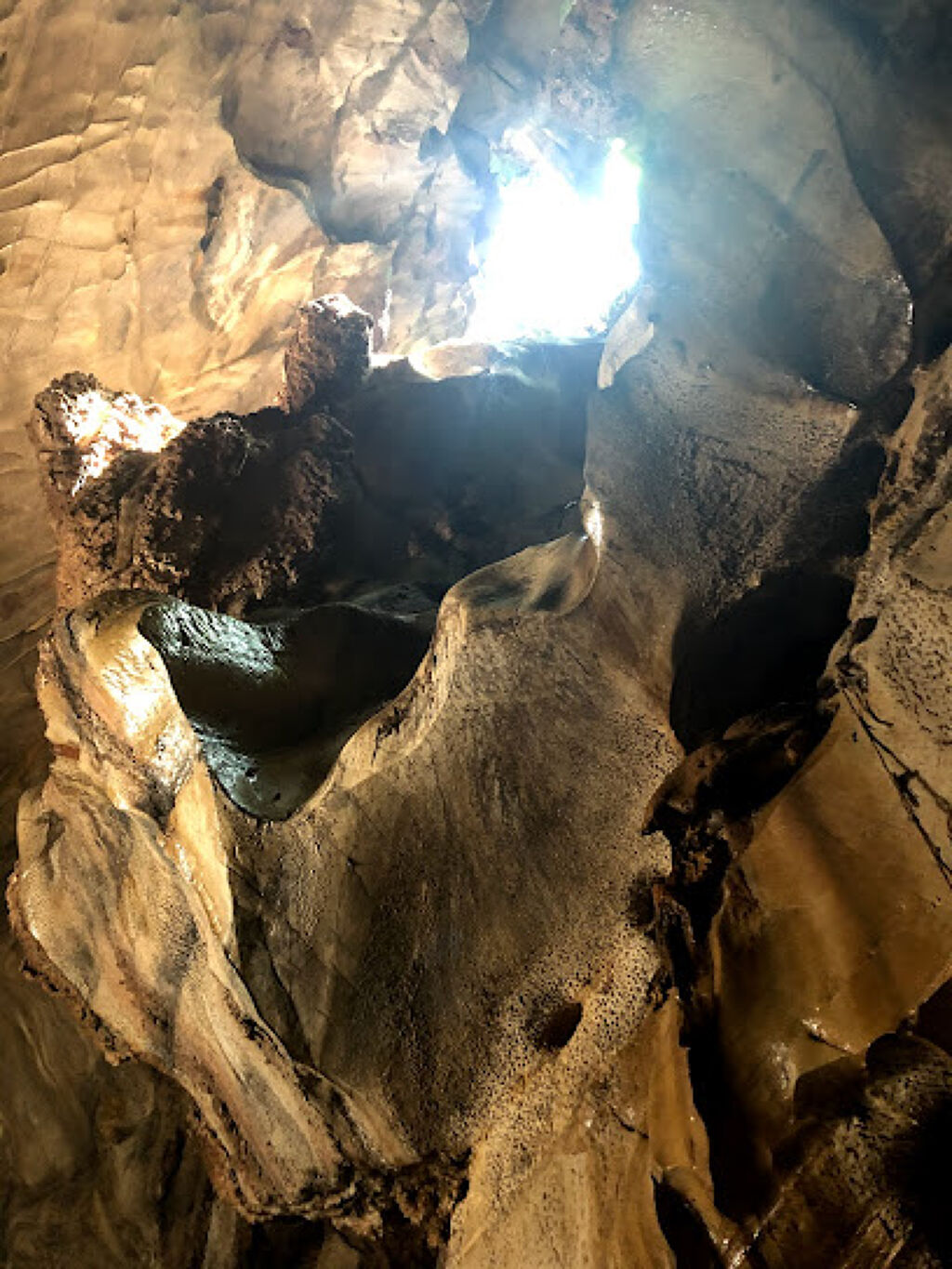 Cueva de las Sardinas-0