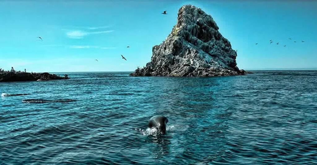 Isla San Jorge-1