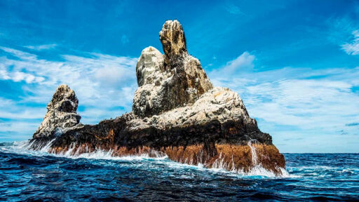 Islas Revillagigedo-0