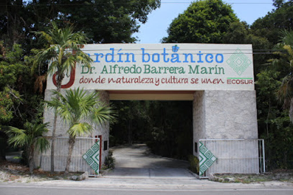 Jardín Botánico Alfredo Barrera Marín-4