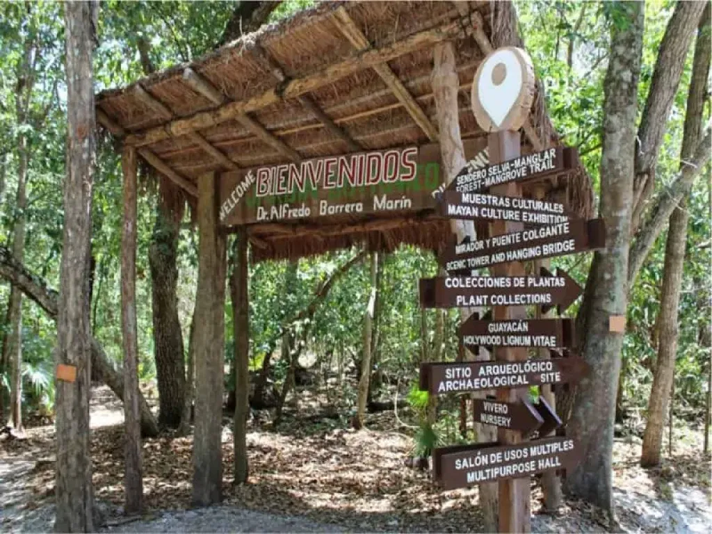 Jardín Botánico Alfredo Barrera Marín-1