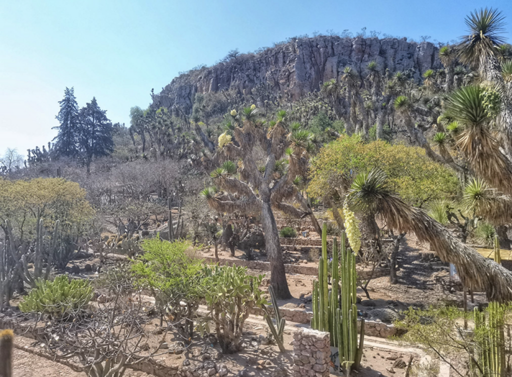 Jardín Botánico Regional de Cadereyta Ing. Manuel González de Cosío-0