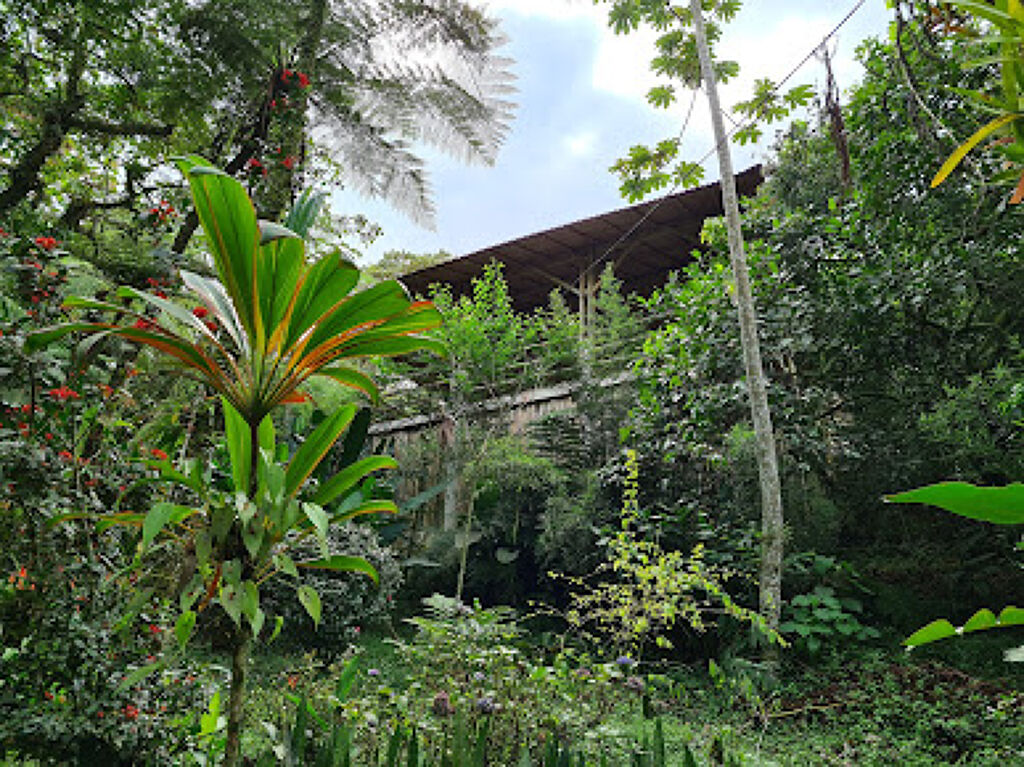 Jardín Botánico Xoxoctic-1