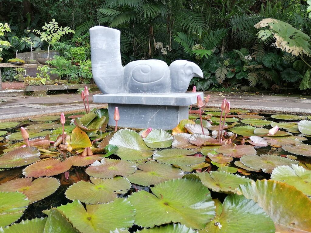 Jardín Botánico Francisco Javier Clavijero-0