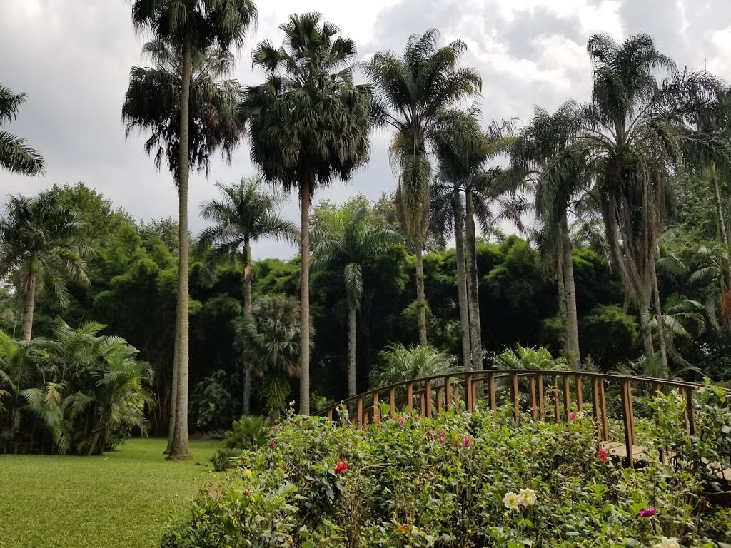 Jardín Botánico Francisco Javier Clavijero-3