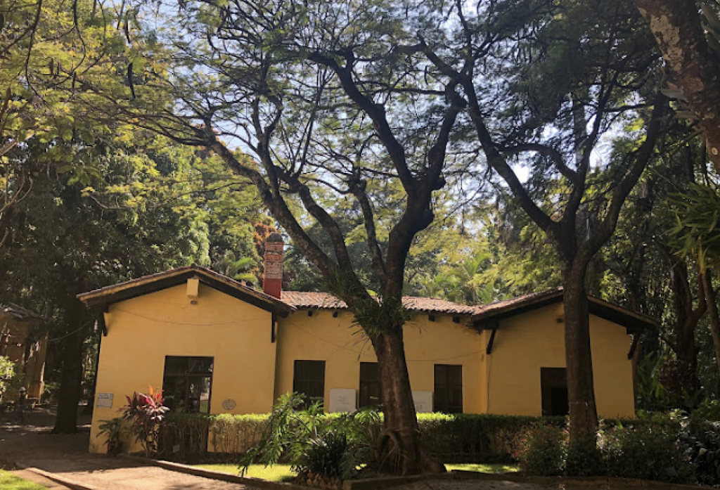 Jardín Etnobotánico y Museo de la Medicina Tradicional-1