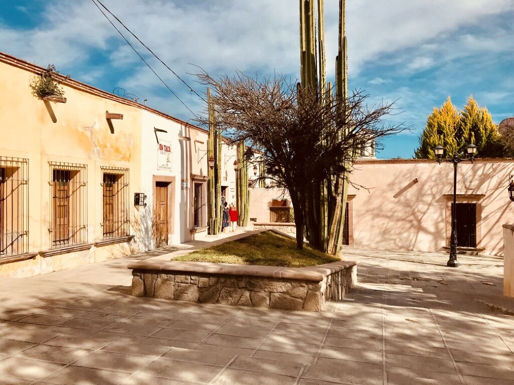 Jardín Juárez-1