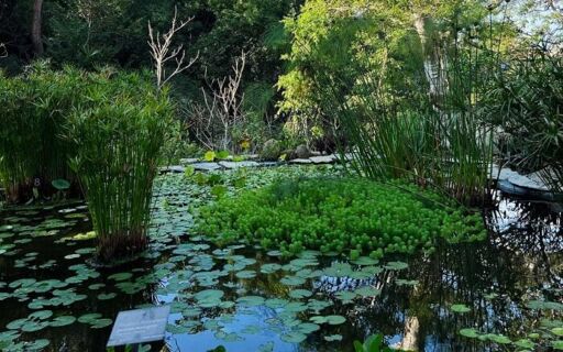 Jardín Botánico de Acapulco-0