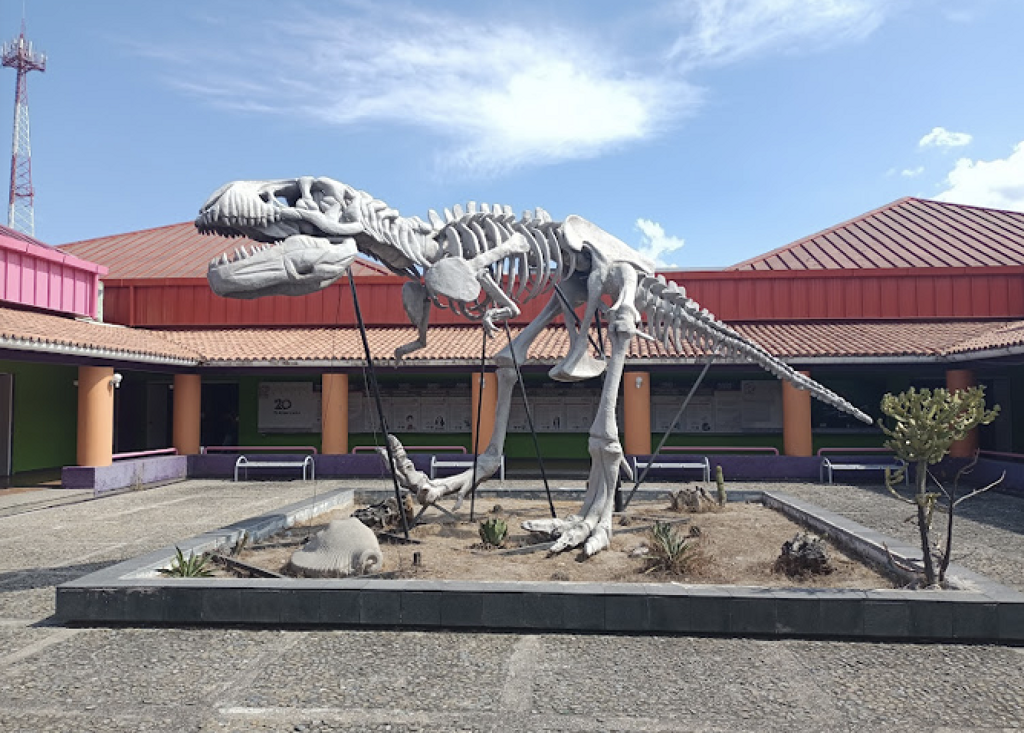 La Avispa Museo Interactivo-1