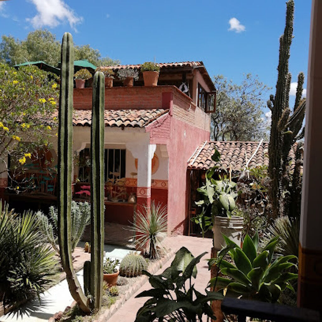 La Casa del Venado Azul-0