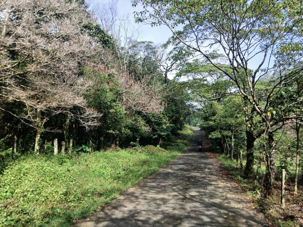 La Reserva de la Biosfera de los Tuxtlas-3