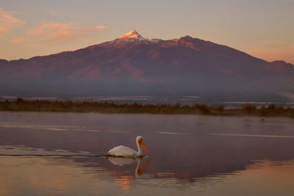 Lago de Chalco-0