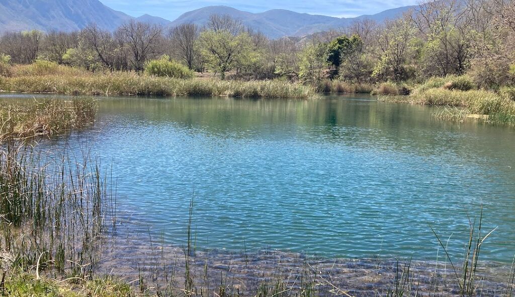 Laguna del Perico-1