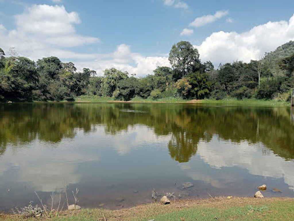 Laguna del Tule-1