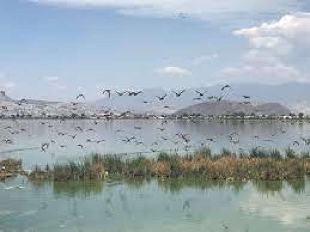 Lagunas De Xico-0