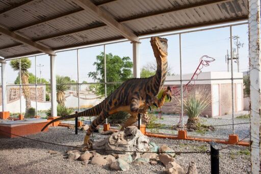 Museo de Paleontología Rincón Colorado-0