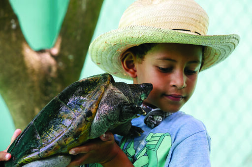 Mini Zoológico-0