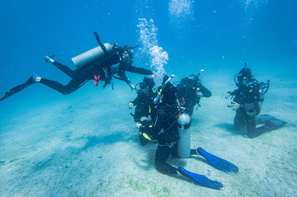 Mundo Submarino-1