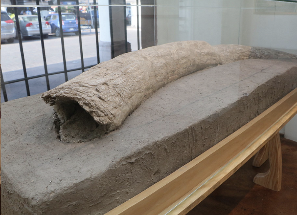 Museo Anbanica de Historia -1