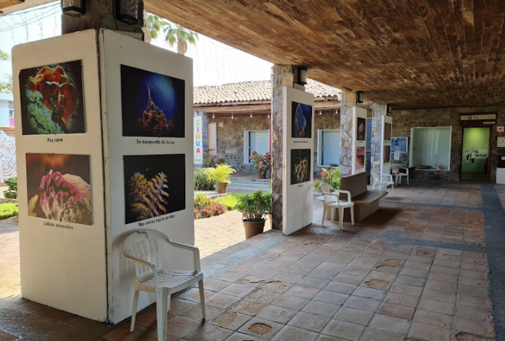 Museo Arqueológico de la Costa Grande-0