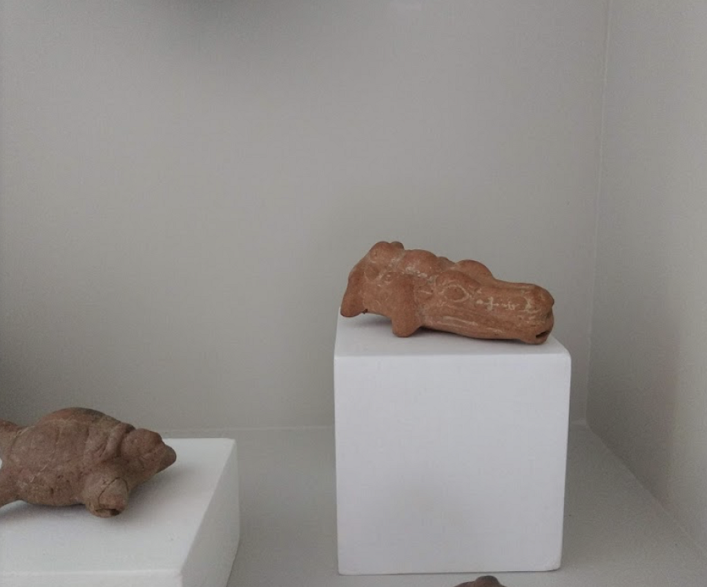 Museo Arqueológico Prof. Omar Huerta Escalante-1